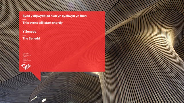 Inside the Evolving Senedd