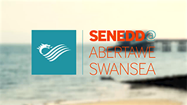 #SeneddSwansea - Taking the National Assembly to the people of Swansea