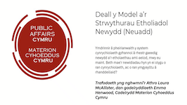 Understanding the New Electoral Model and Structures