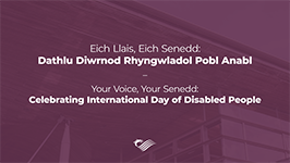 Your Voice, Your Senedd: